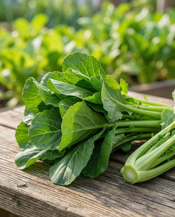 Grelos de Nabo Early Spring (Brassica rapa) – sementes de hortícolas da SeedsChoice