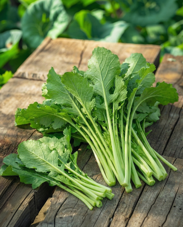 Grelos de Nabo Namenia Bladmoes 50g (Brassica rapa) – sementes de hortícola anual da SeedsChoice