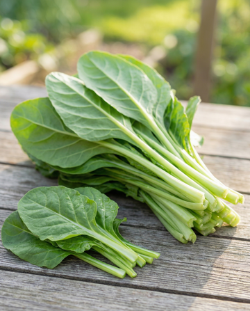 Acelga de folha verde 50g (Beta vulgaris) – sementes de vegetais da SeedsChoice