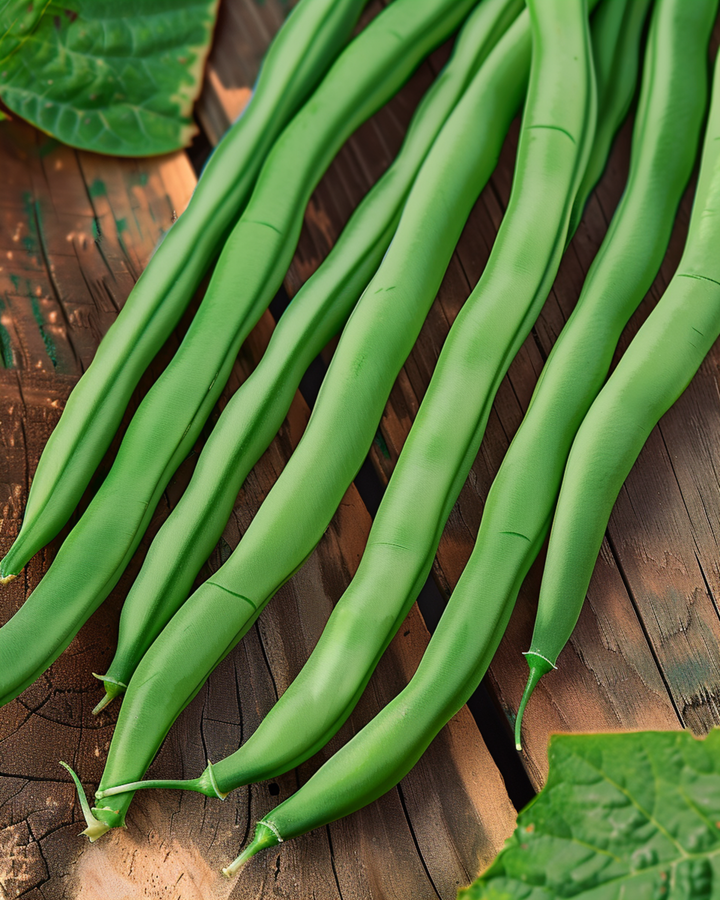 Sementes de feijão-anão Dawson 50g (Phaseolus vulgaris) – hortaliça anual