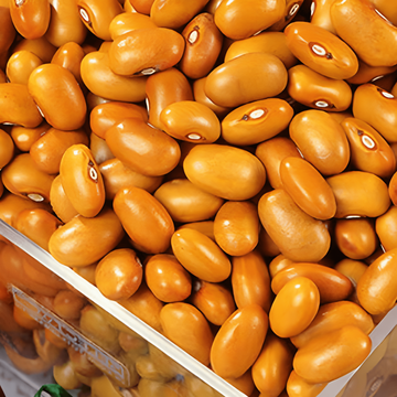 Sementes de feijão-anão Brown Dutch 100g (Phaseolus vulgaris) – hortaliça anual