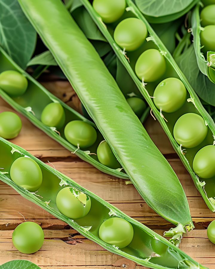 Sementes de Ervilha Eminent (Pisum sativum) – legume anual