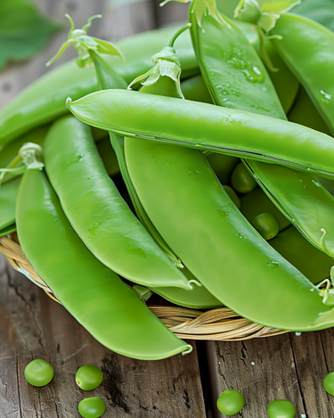 Sementes de Ervilha-torta Oregon Pod 100g (Pisum sativum) – vegetal anual