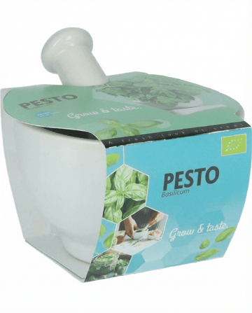 Semillas de albahaca Mortar Set (Ocimum basilicum) – hierba ecológica
