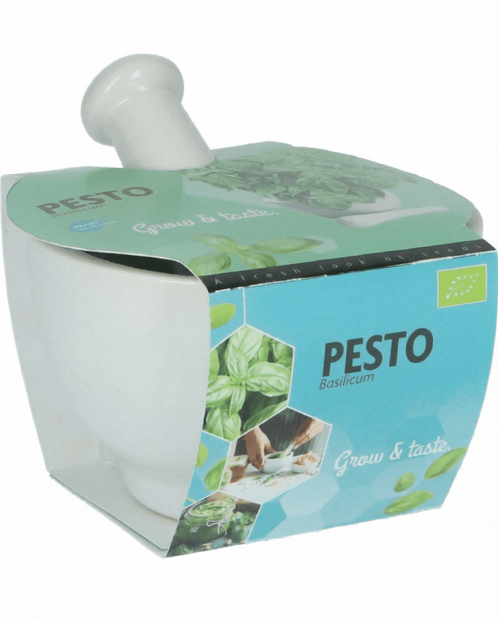 Sementes de manjericão Mortar Set (Ocimum basilicum) – erva biológica