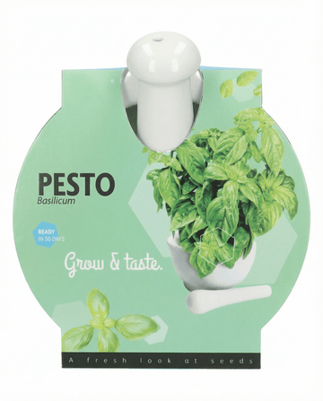 Ocimum basilicum – Set mortero de albahaca cultivada desde semilla