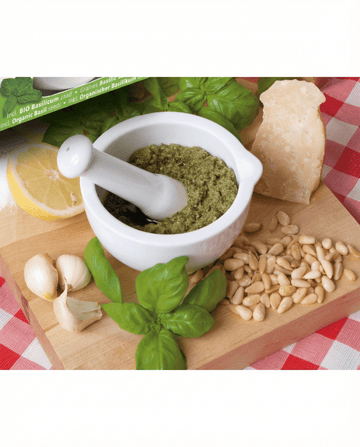 Semillas de albahaca Mortar Set (Ocimum basilicum) – semillas de hierba ecológica de SeedsChoice