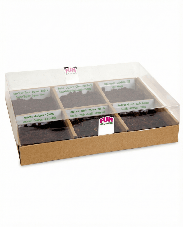 Sementes Culinárias com 6 Variedades Conjunto Inicial – kit de cultivo