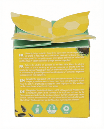 Sementes de oferta de girassol anão – kit de cultivo anual da SeedsChoice
