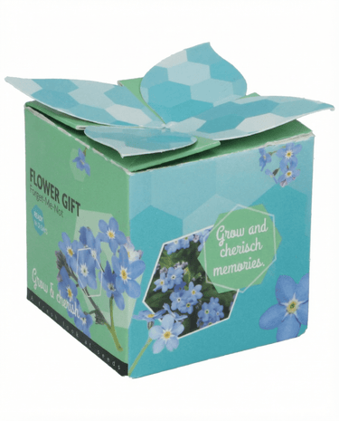 Sementes Forget-Me-Not Vaso de Terracota 0,1 g (Myosotis alpestris) – kit de cultivo bienal