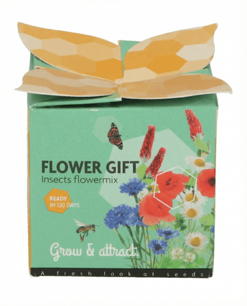 Insect Mix Terracotta Pot Gift Set – grow kit seeds from SeedsChoice
