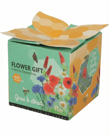Insect Mix Terracotta Pot Gift Set – grow kit from SeedsChoice