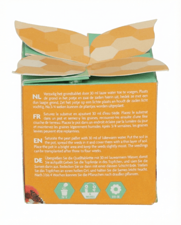 Insect Mix Terracotta Pot Gift Set seeds – grow kit from SeedsChoice
