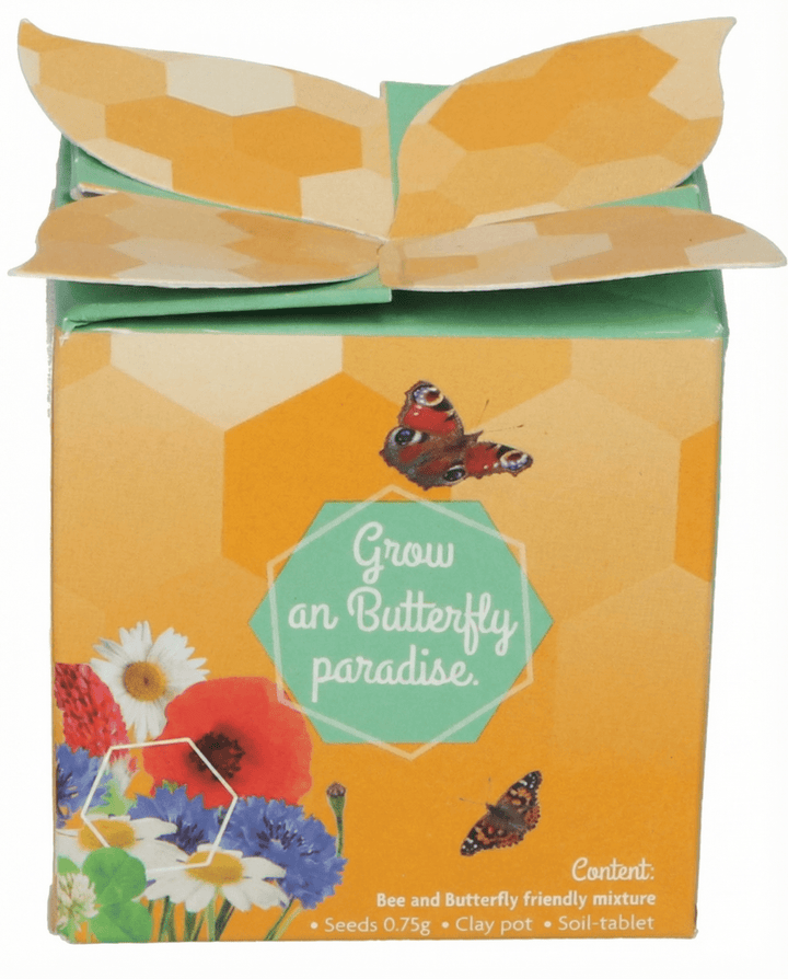 Conjunto Oferta Vaso de Terracota Mistura para Insectos – kit de cultivo com sementes
