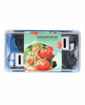 Semillas de tomate Maja para invernadero y patio (Solanum lycopersicum) – kit de cultivo