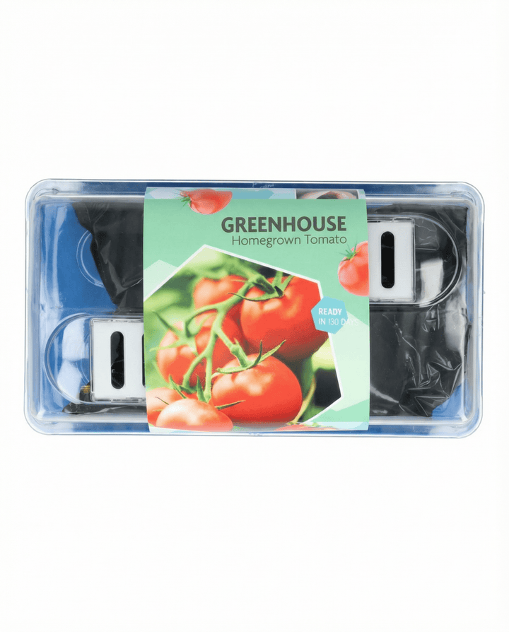 Tomato Maja Greenhouse Patio seeds (Solanum lycopersicum) – grow kit