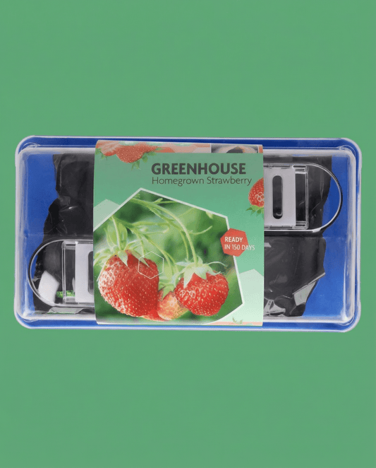 Morango Grandian F1 Greenhouse (Fragaria × ananassa) – sementes kit de cultivo perene da SeedsChoice