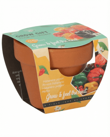 Sementes de Pimento Habanero Vaso de Terracota (Capsicum chinense) – kit de cultivo