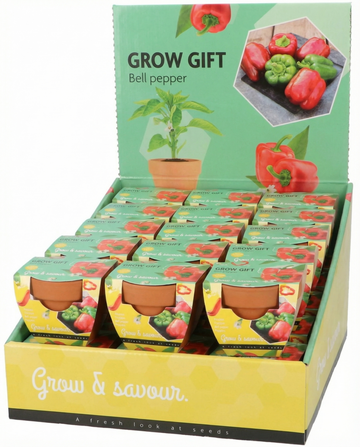 Pimento em Vaso de Terracota (Capsicum annuum) – kit de cultivo com sementes de SeedsChoice