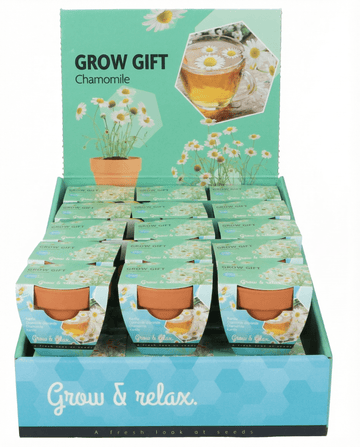 Camomila (Matricaria chamomilla) – sementes de kit de cultivo anual da SeedsChoice