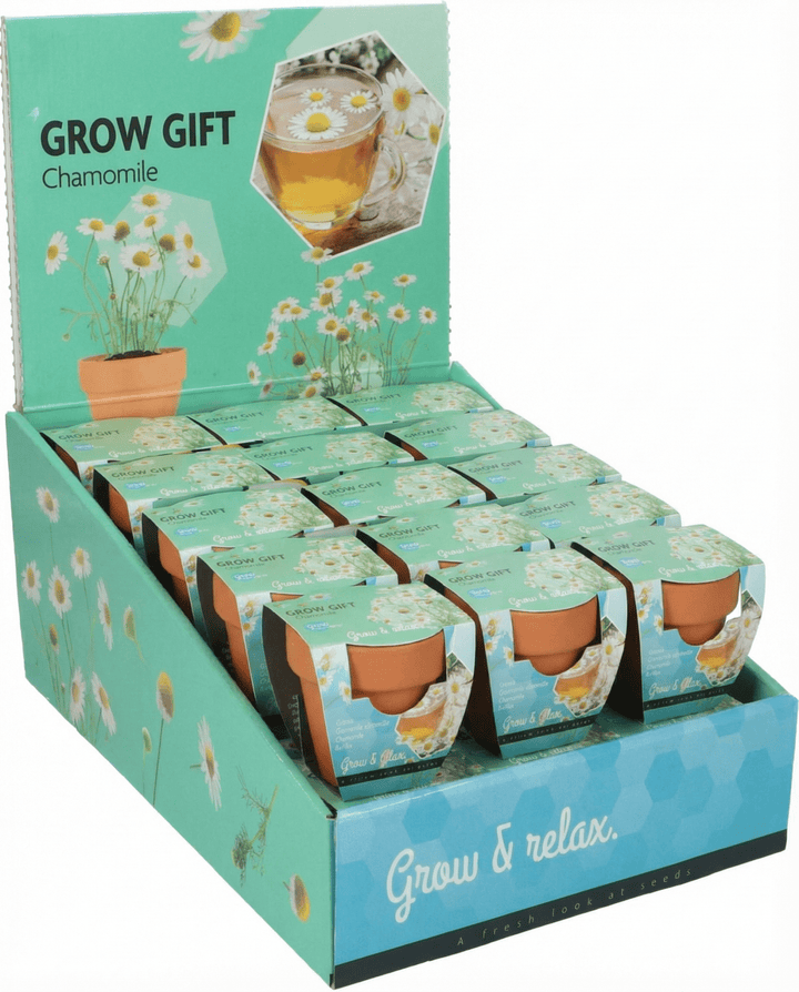 Sementes de camomila (Matricaria chamomilla) – kit de cultivo anual
