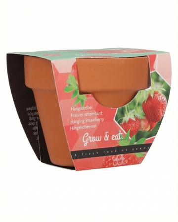 Fresa colgante (Fragaria × ananassa) – semillas perennes de SeedsChoice