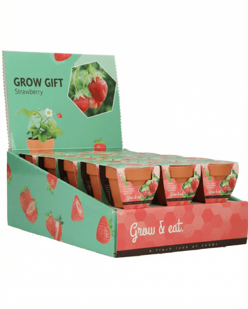 Fragaria × ananassa – Fresa colgante cultivada desde semilla