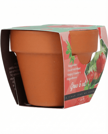 Semillas de fresa colgante – perenne de SeedsChoice