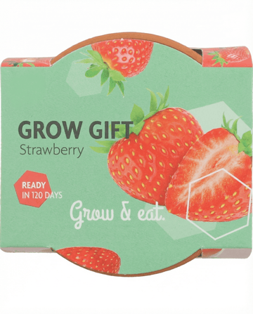 Semillas de fresa colgante (Fragaria × ananassa) – perenne