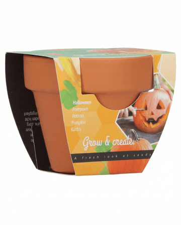 Abóbora de Halloween (Cucurbita pepo) – kit de cultivo com sementes de SeedsChoice