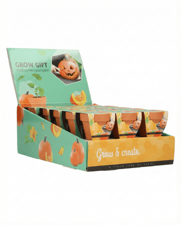 Sementes de abóbora de Halloween – kit de cultivo da SeedsChoice