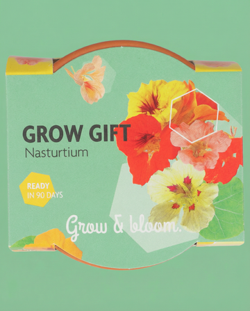 Sementes de capuchinha – kit de cultivo anual da SeedsChoice