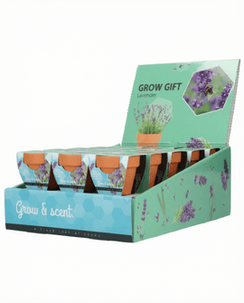 Lavender Seeds Lavandula Angustifolia Perennial Herb Grow Kit