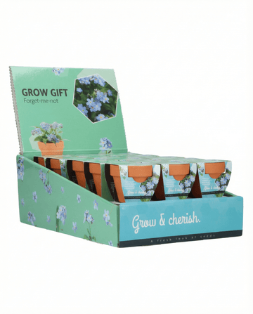 Miosótis (Myosotis alpestris) – sementes com kit de cultivo da SeedsChoice
