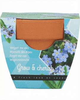 Kit de cultivo de flores miosótis Myosotis Alpestris