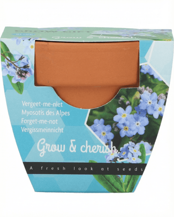 Sementes de miosótis (Myosotis alpestris) – kit de cultivo