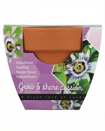 Sementes Passiflora Passion Gift vaso de terracota 30 unidades – kit de cultivo da SeedsChoice