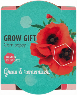 Sementes de Papoila Papaver Rhoeas Kit de Cultivo Anual em Vaso de Terracota