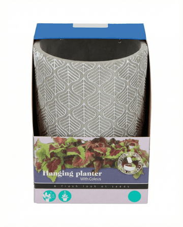 Sementes de Vaso Suspenso (Coleus blumei) – kit de cultivo