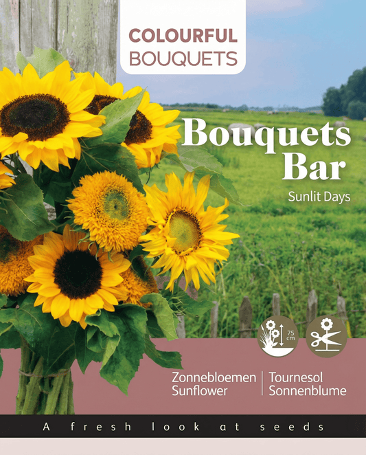 Sementes de girassol 75 Cm Bouquet Mix (Helianthus annuus) – sementes de flores anuais da SeedsChoice