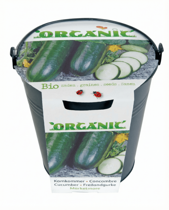 Sementes de pepino Marketmore (Cucumis sativus) – legume biológico