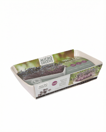 Daikon Radish Microgreens (Raphanus sativus) – grow kit seeds from SeedsChoice