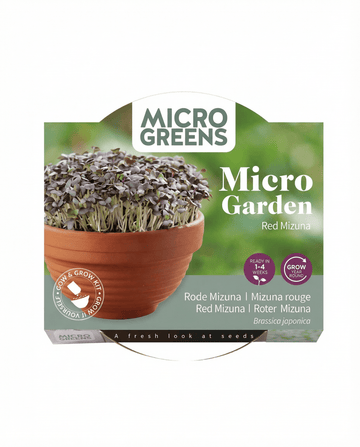 Sementes de Microverdes Red Mizuna Terracotta Vegetables – kit de cultivo da SeedsChoice