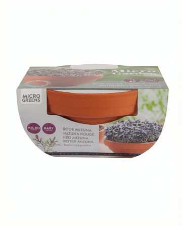 Sementes de Microverdes Red Mizuna Terracotta Vegetables (Brassica japonica) – kit de cultivo