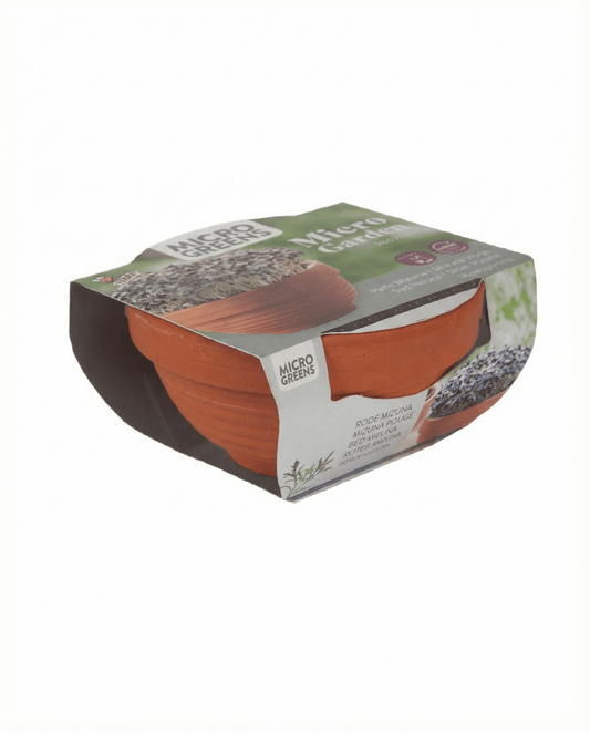 Red Mizuna Microgreens Terracotta Vegetables (Brassica japonica) – grow kit seeds from SeedsChoice