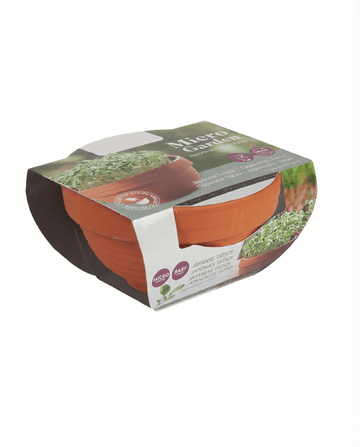 Sementes de Tatsoi Microgreens em Prato de Terracota (Brassica narinosa) – kit de cultivo