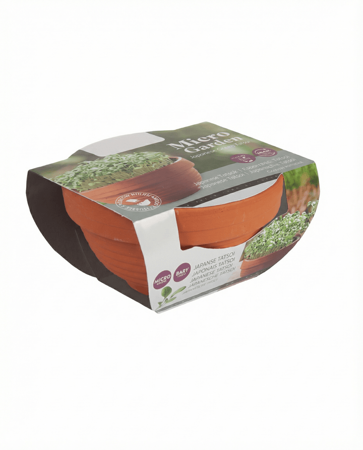 Sementes de Tatsoi Microgreens em Prato de Terracota (Brassica narinosa) – kit de cultivo
