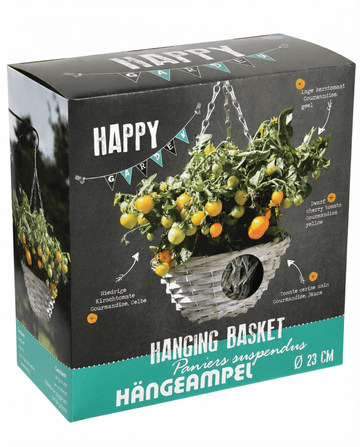 Tomate cherry enano Gourmandise Yellow para cesta colgante (Solanum lycopersicum) – semillas de hortaliza de SeedsCh…