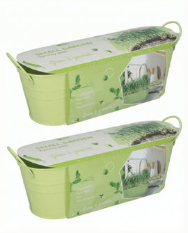 Sementes de ervilha Pisum Sativum Stardust — variedade de microgreens