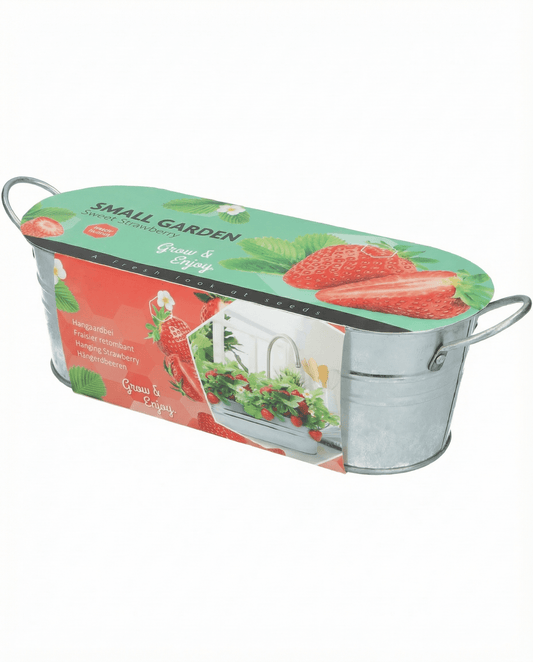Morangueiro Pendente (Fragaria ananassa) – sementes perenes da SeedsChoice
